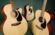 Takamine G220S-NS